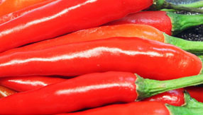 让您更省力的在线短信平台