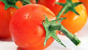 报复骗子轰炸神器